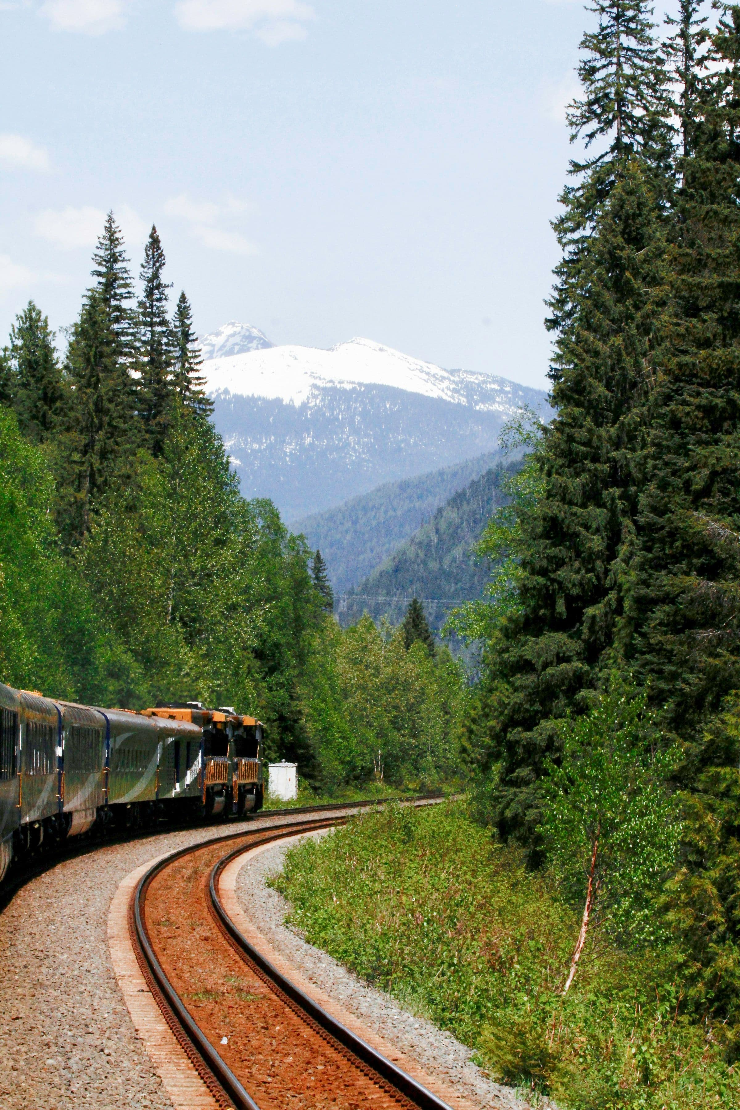 The Rocky Mountaineer train curving through pine forest towards snow-covered peaks in the Canadian Rockies, seen from on board.