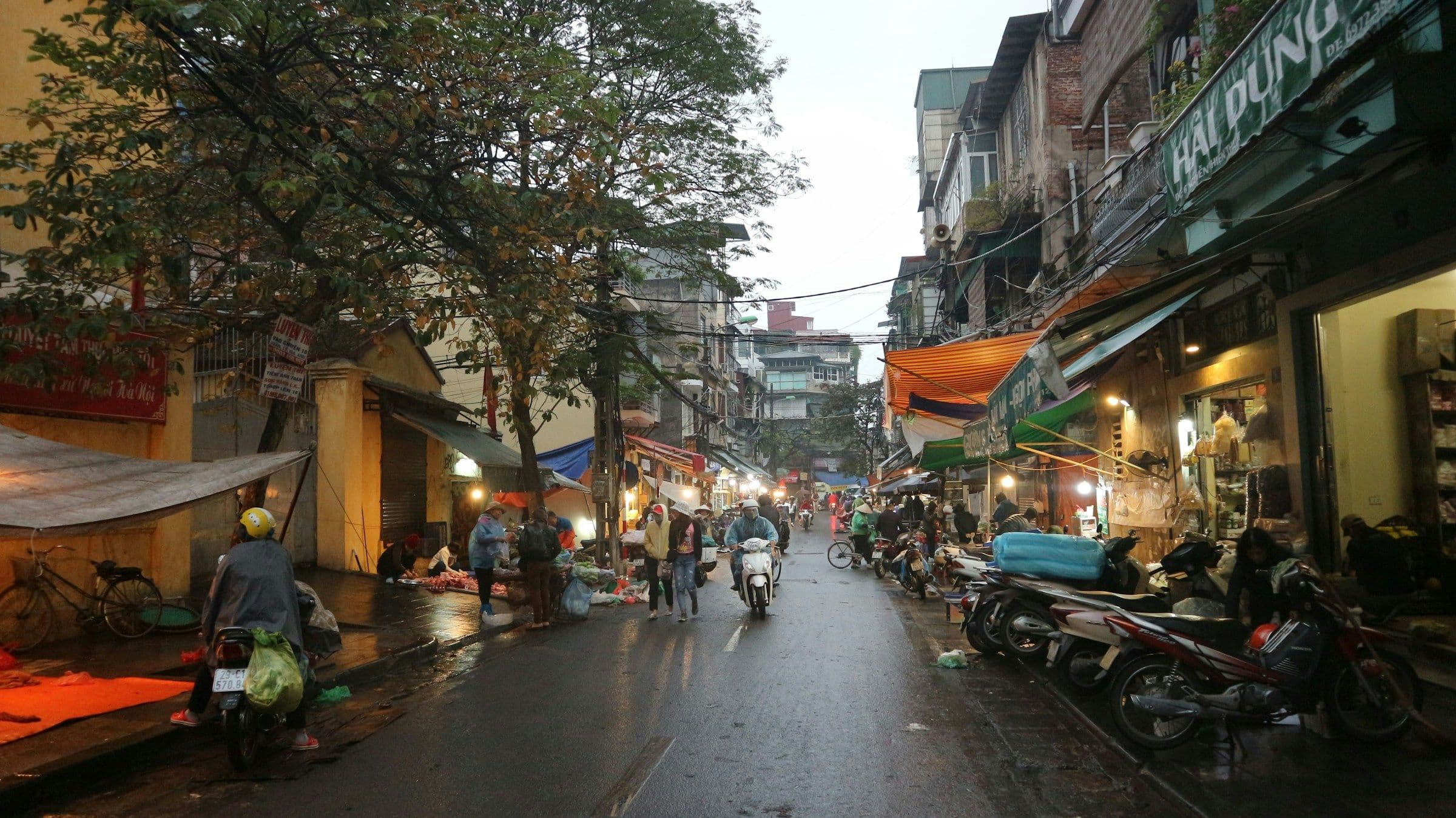 Motorbikes and shopfronts on a tree-lined street in Hanoi, Vietnam, after rain.