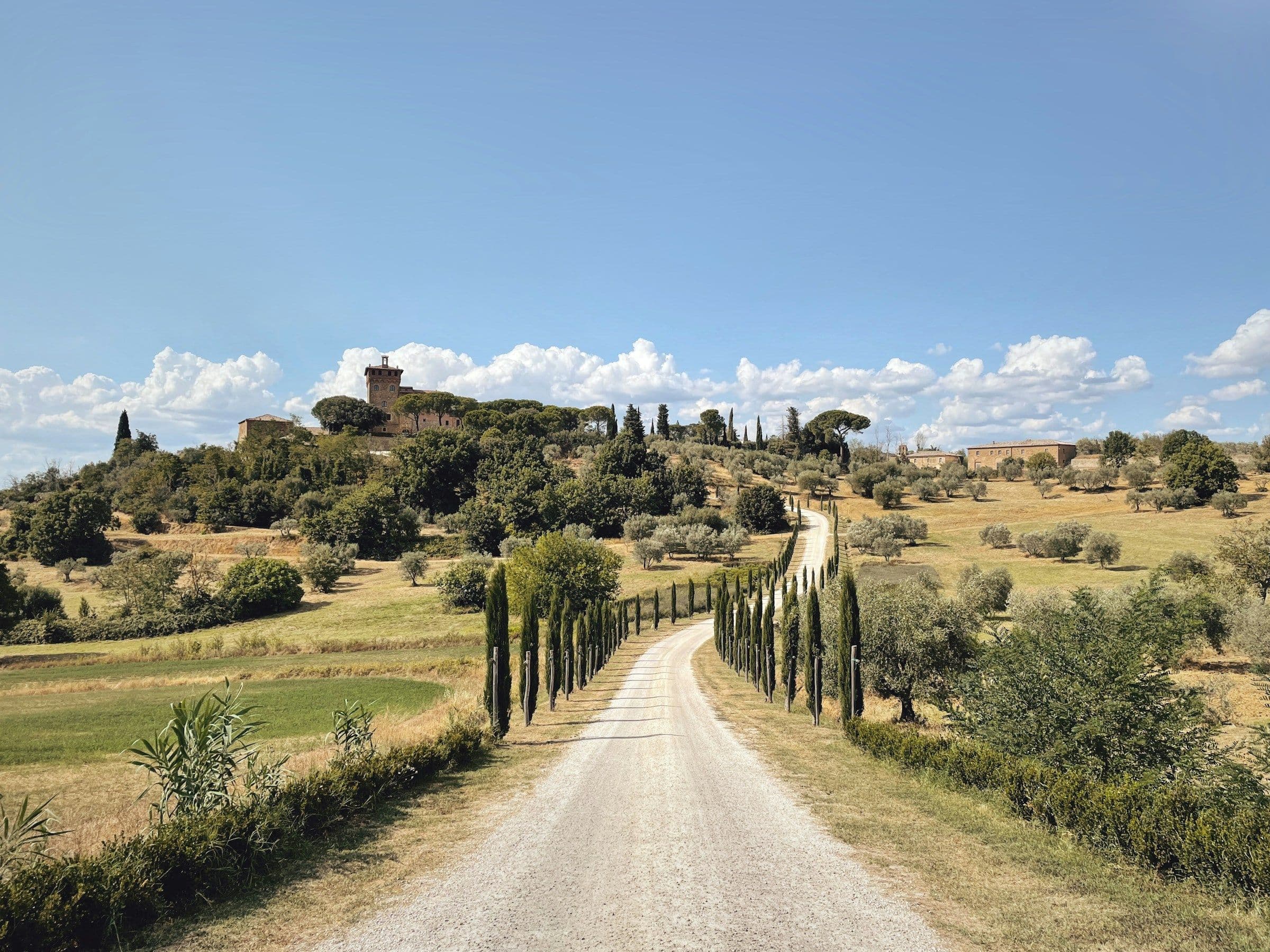 A gravel road lined with cypress trees leading through the hills of the Val d’Orcia in Tuscany, Italy.