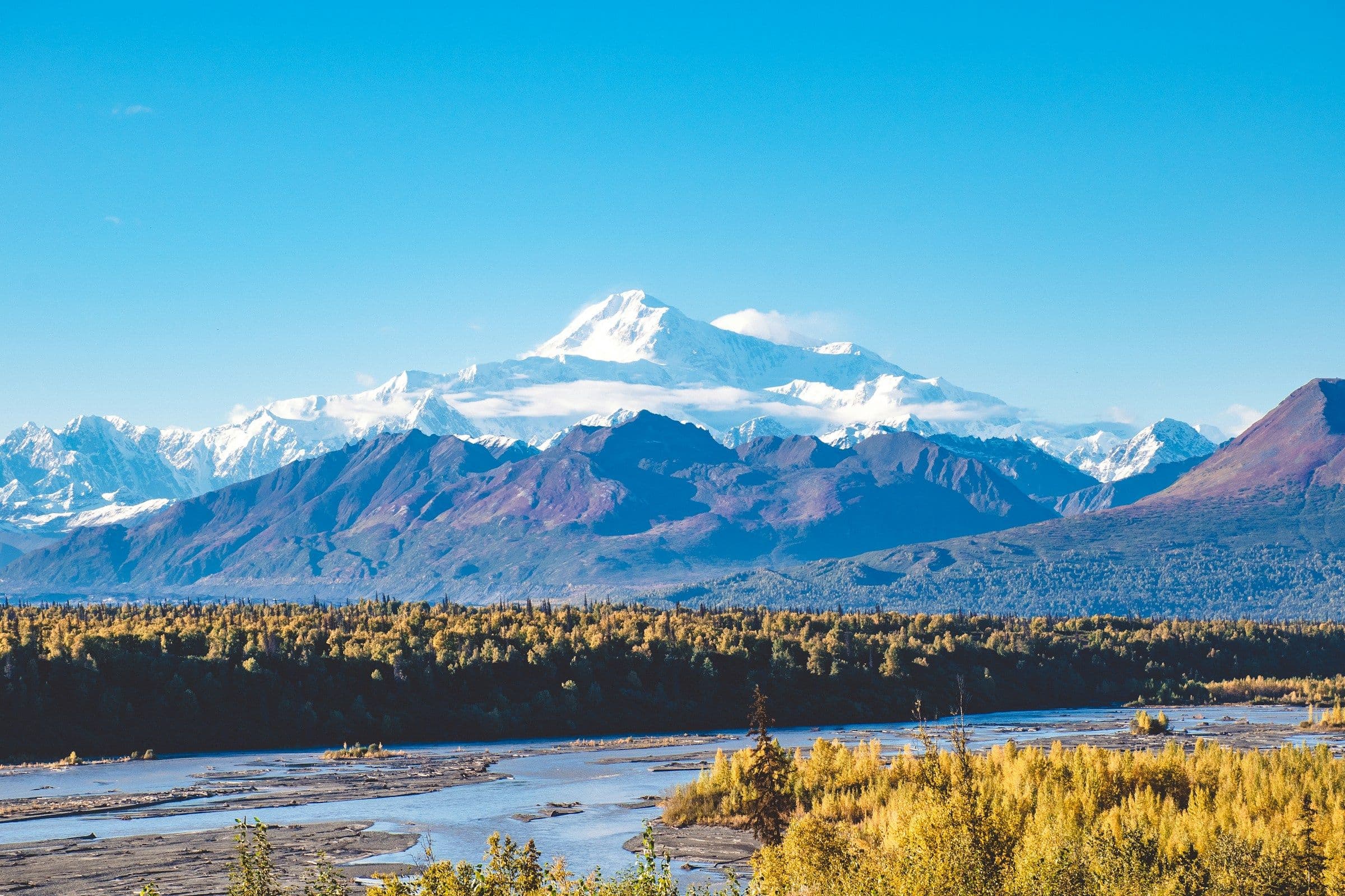 Denali, covered in snow, above autumn-coloured forest and a braided river in Alaska.