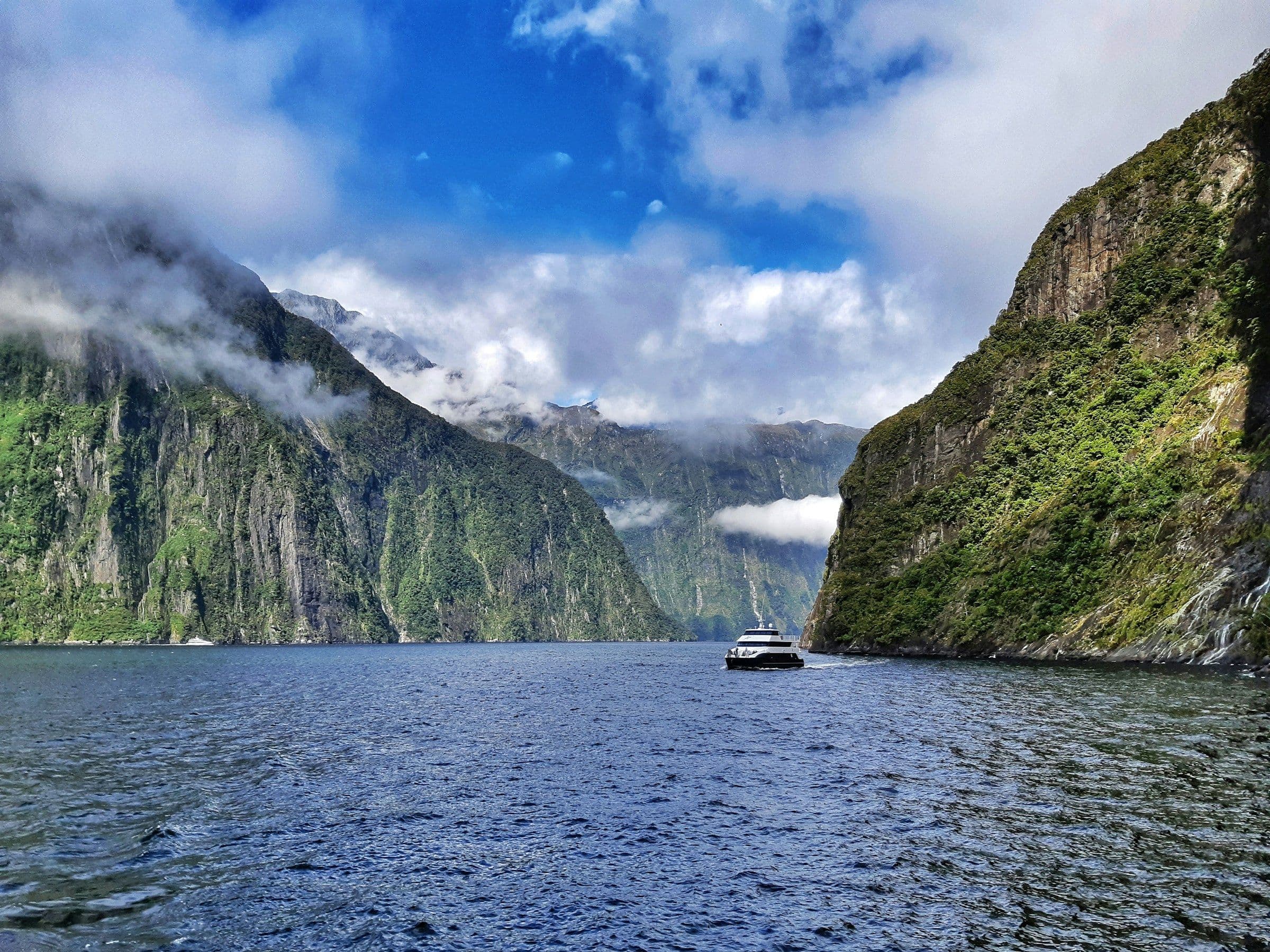 A small cruise boat between the steep, forested walls of Milford Sound in Fiordland, New Zealand.