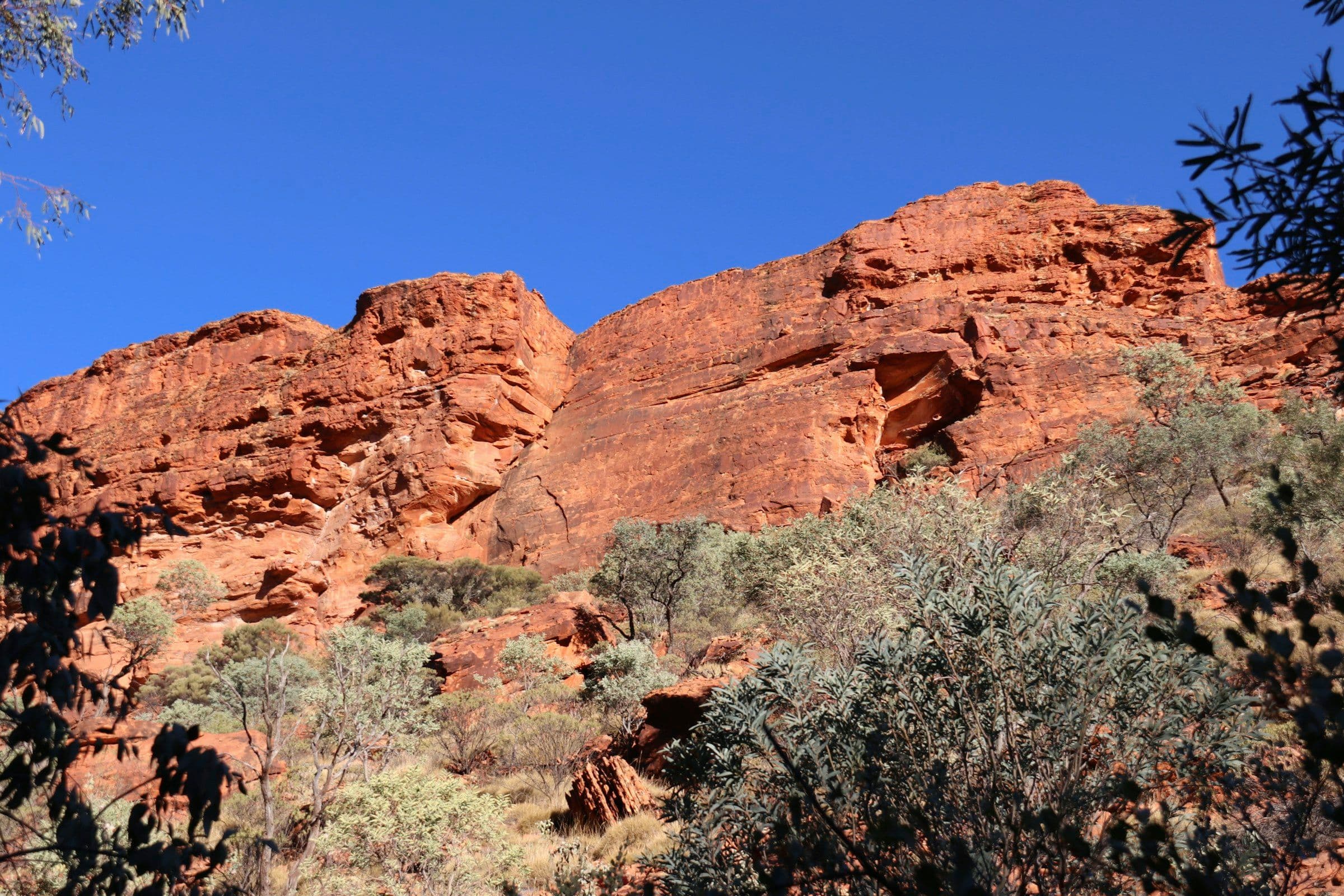 Red sandstone cliffs above scrub near Kings Canyon in the Northern Territory, Australia.