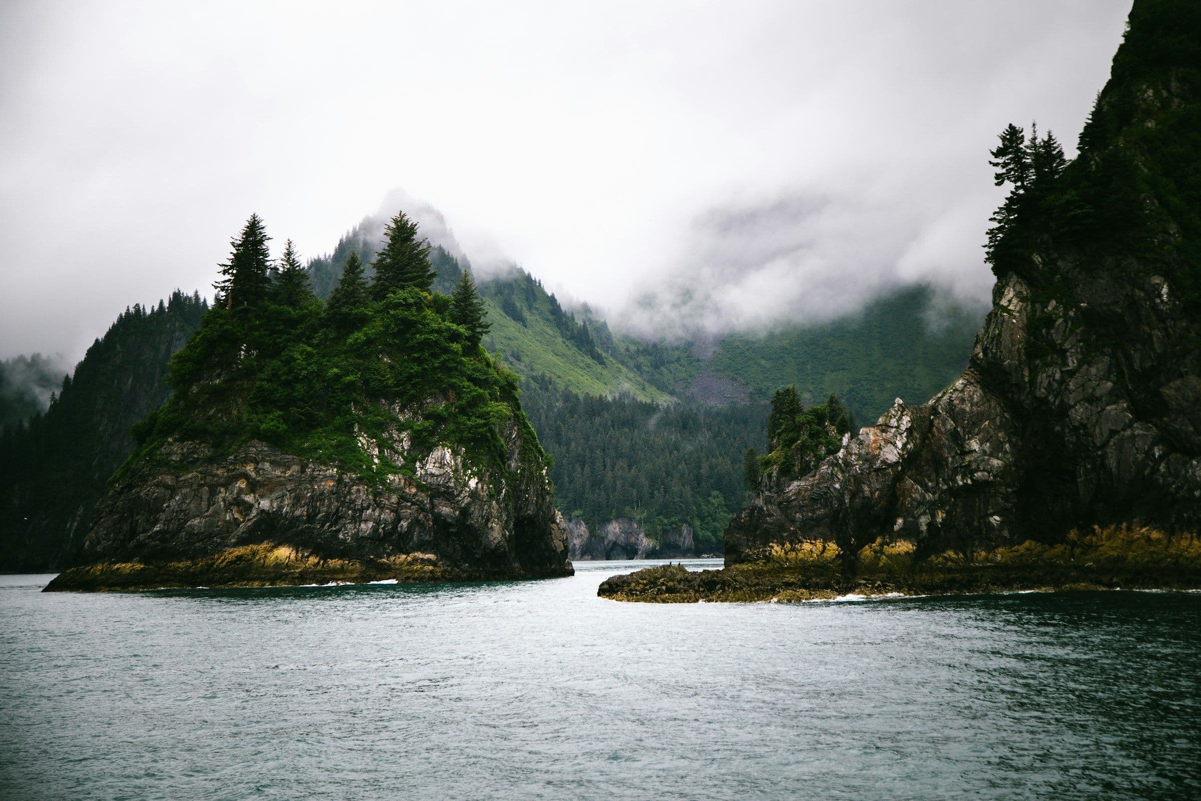 Spruce-covered rocky islets in mist on the shore of Kenai Fjords, Alaska.