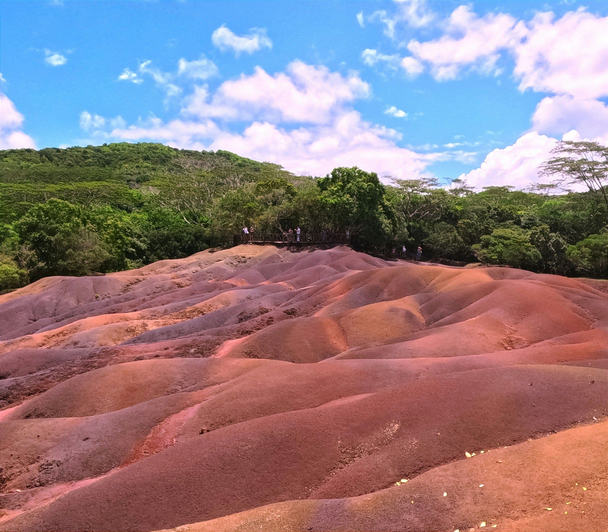 Dunes of red, pink and purple earth at Chamarel in Mauritius, surrounded by forest.