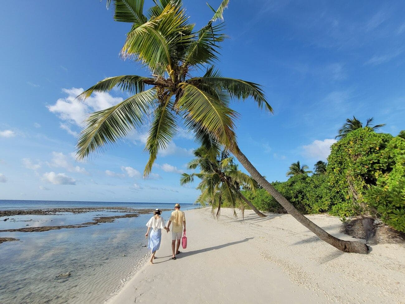 A couple walking hand in hand along a tropical beach beneath a leaning palm.