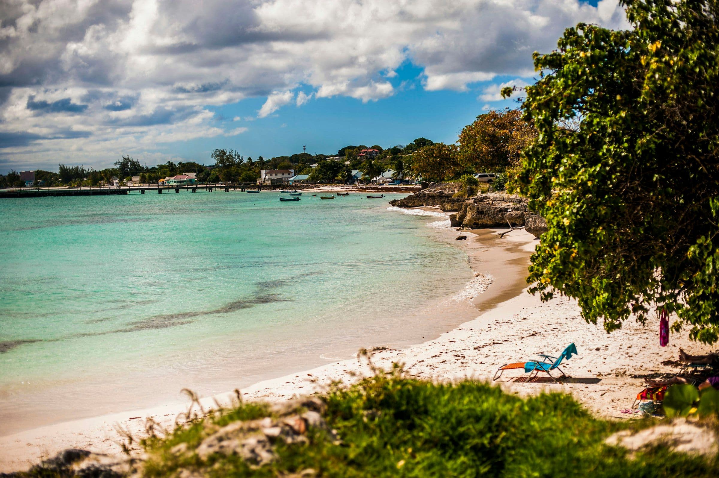 A sheltered bay of pale sand and clear, shallow water in Barbados, seen from under a tree.