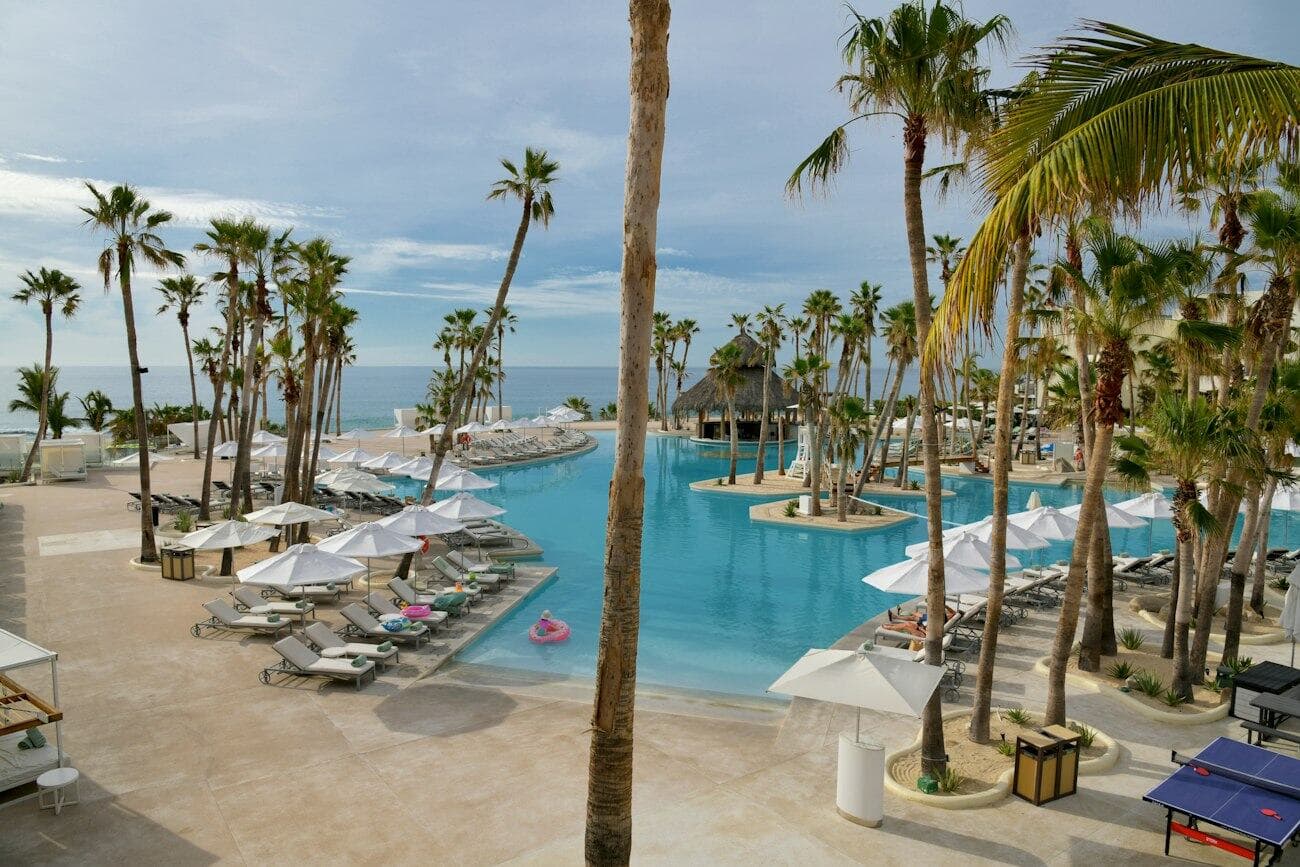 A resort swimming pool lined with palm trees and sun loungers.