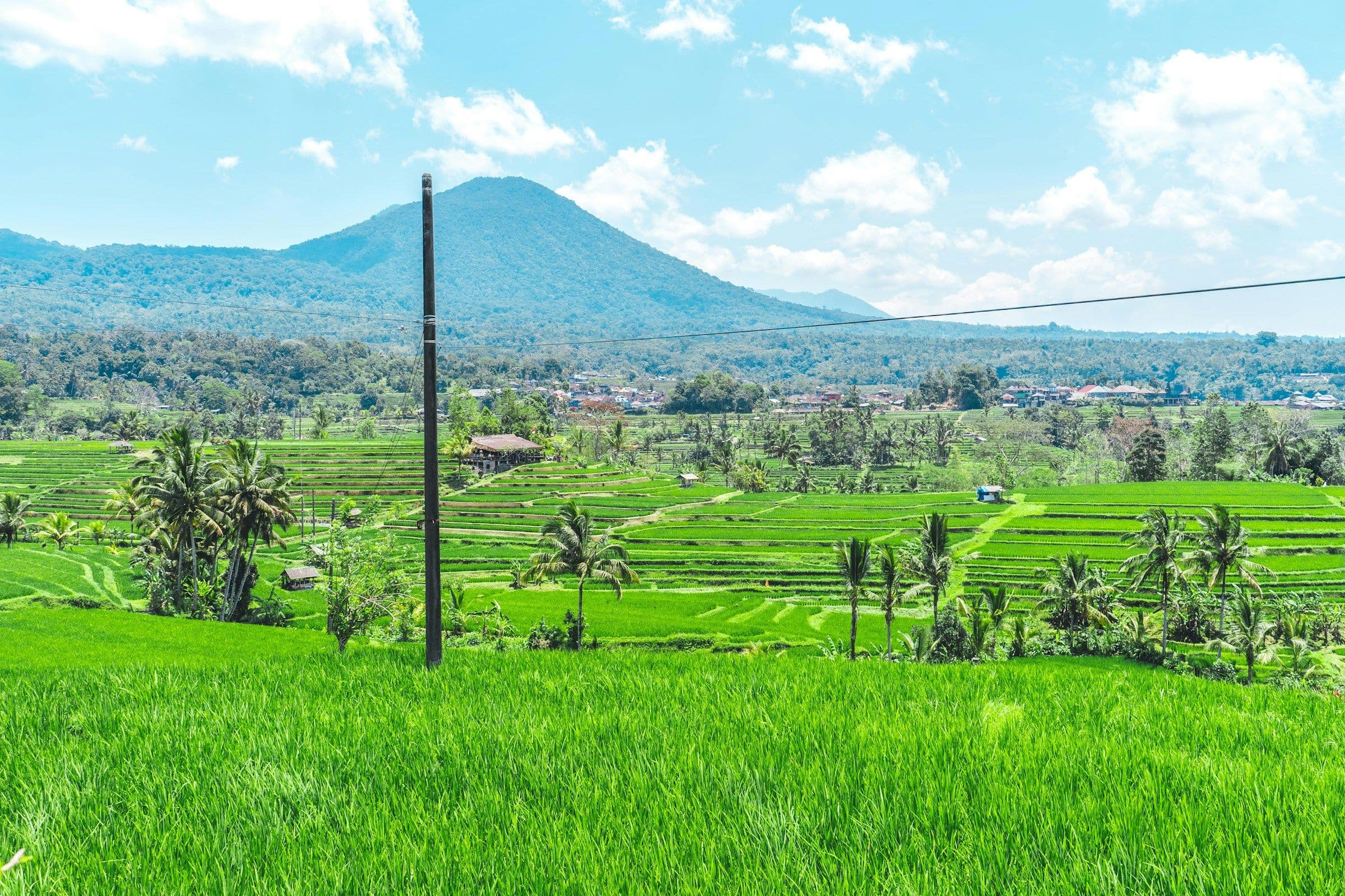 Bright green rice terraces in Bali, with a volcano on the horizon.