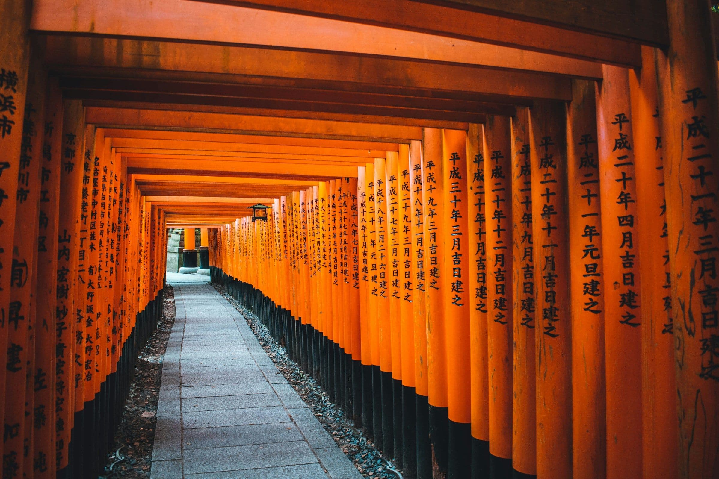 A path through the orange torii gates of Fushimi Inari shrine in Kyoto, Japan.