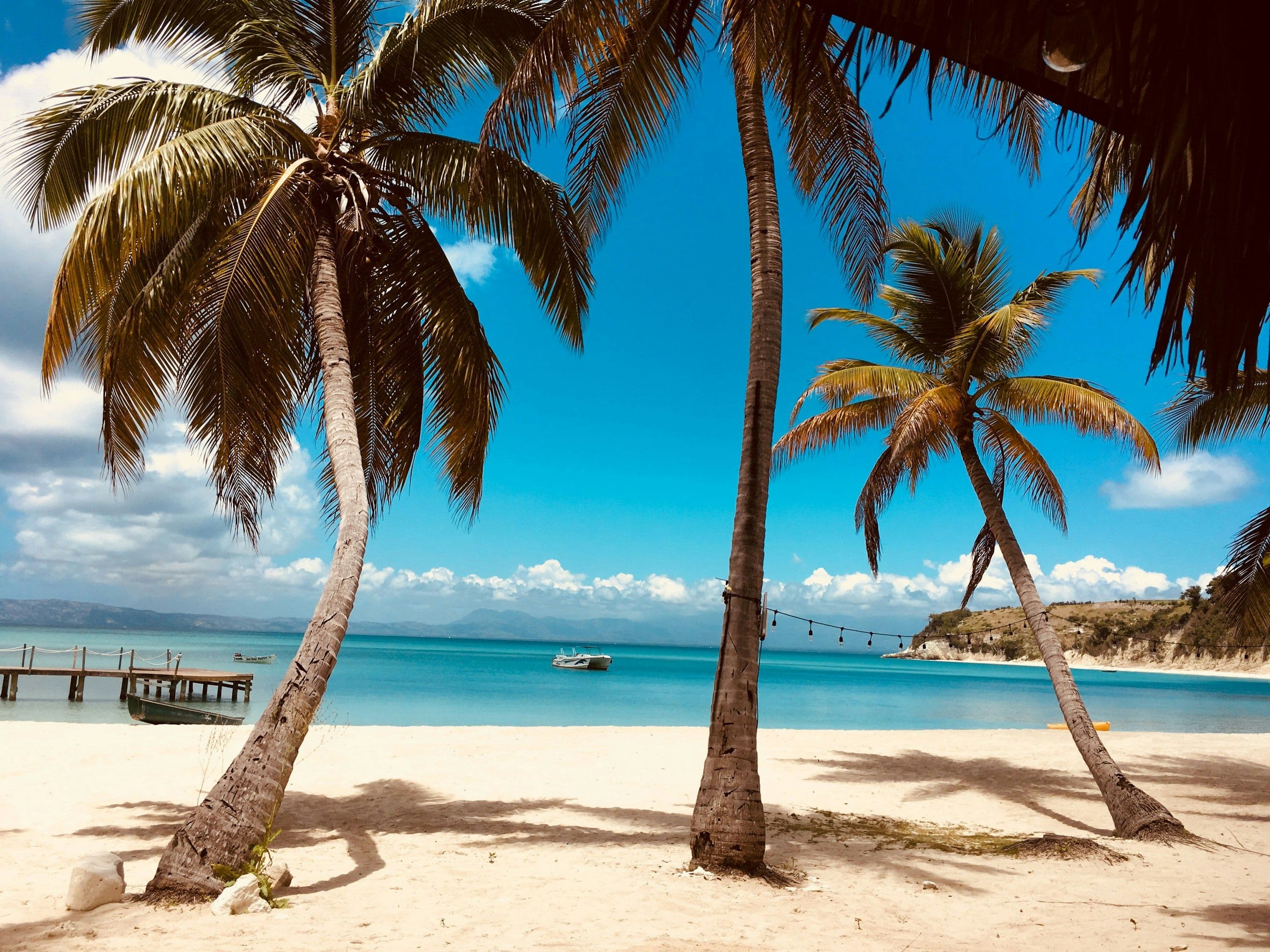 Palm trees leaning over white sand and clear turquoise water on a Caribbean beach, with a wooden jetty in the distance.