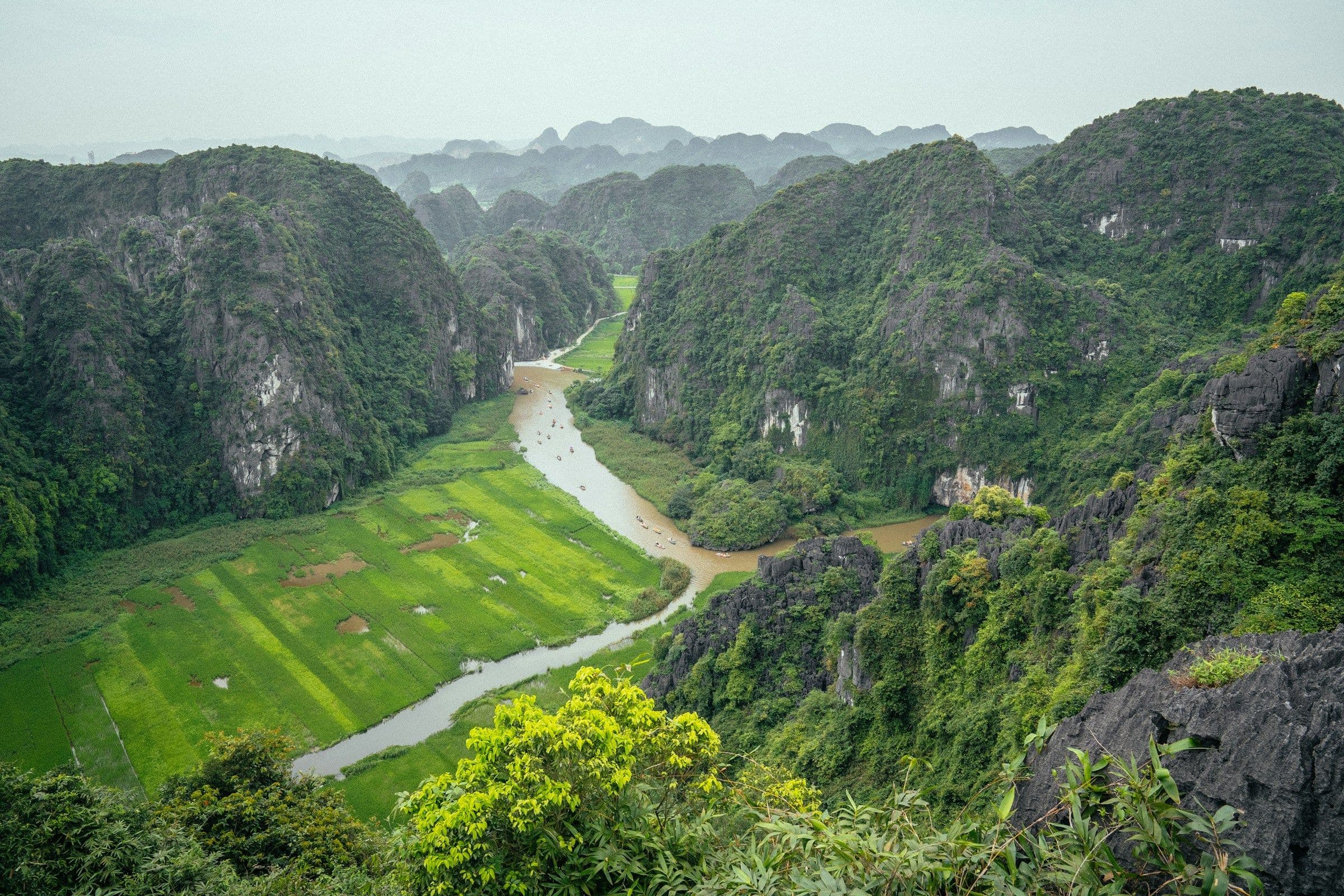 A river winding between rice fields and steep limestone hills at Ninh Bình, Vietnam, seen from above.