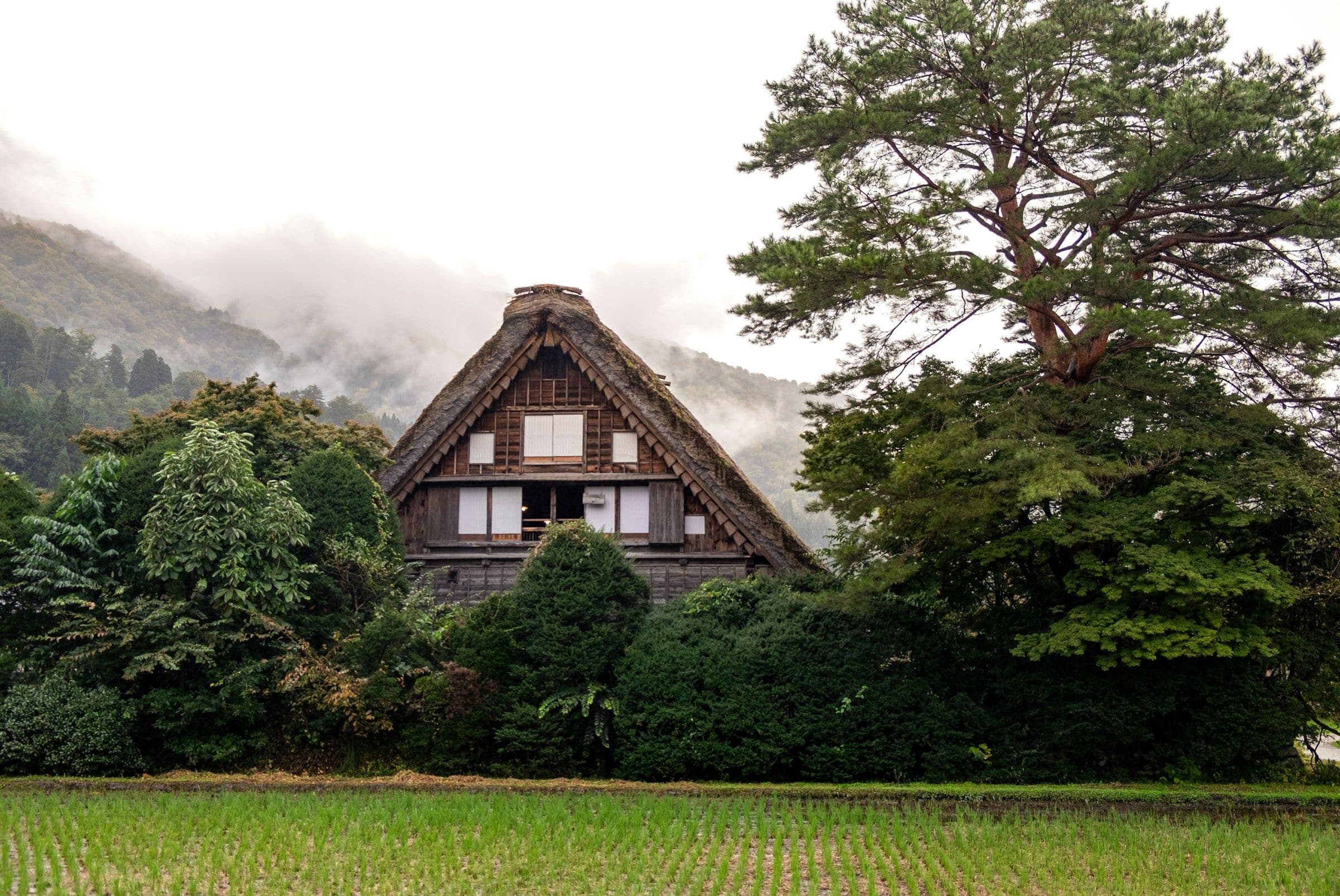 A steep-roofed thatched farmhouse among trees in the village of Shirakawa-go, Japan.