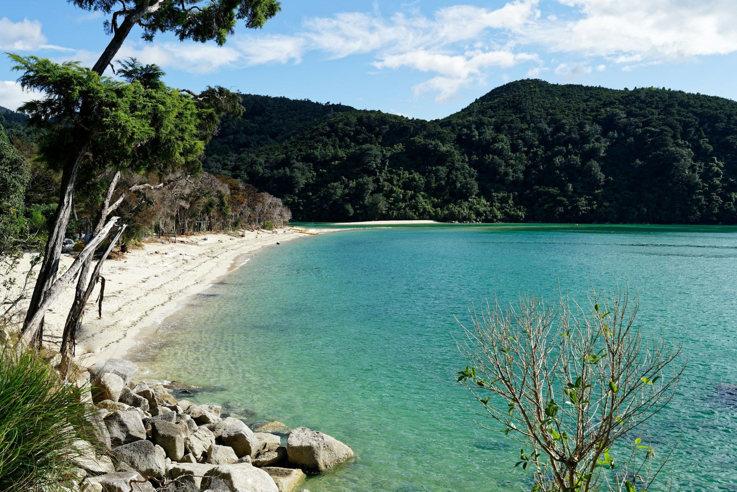 A golden beach curving round a clear green bay in Abel Tasman National Park, New Zealand.