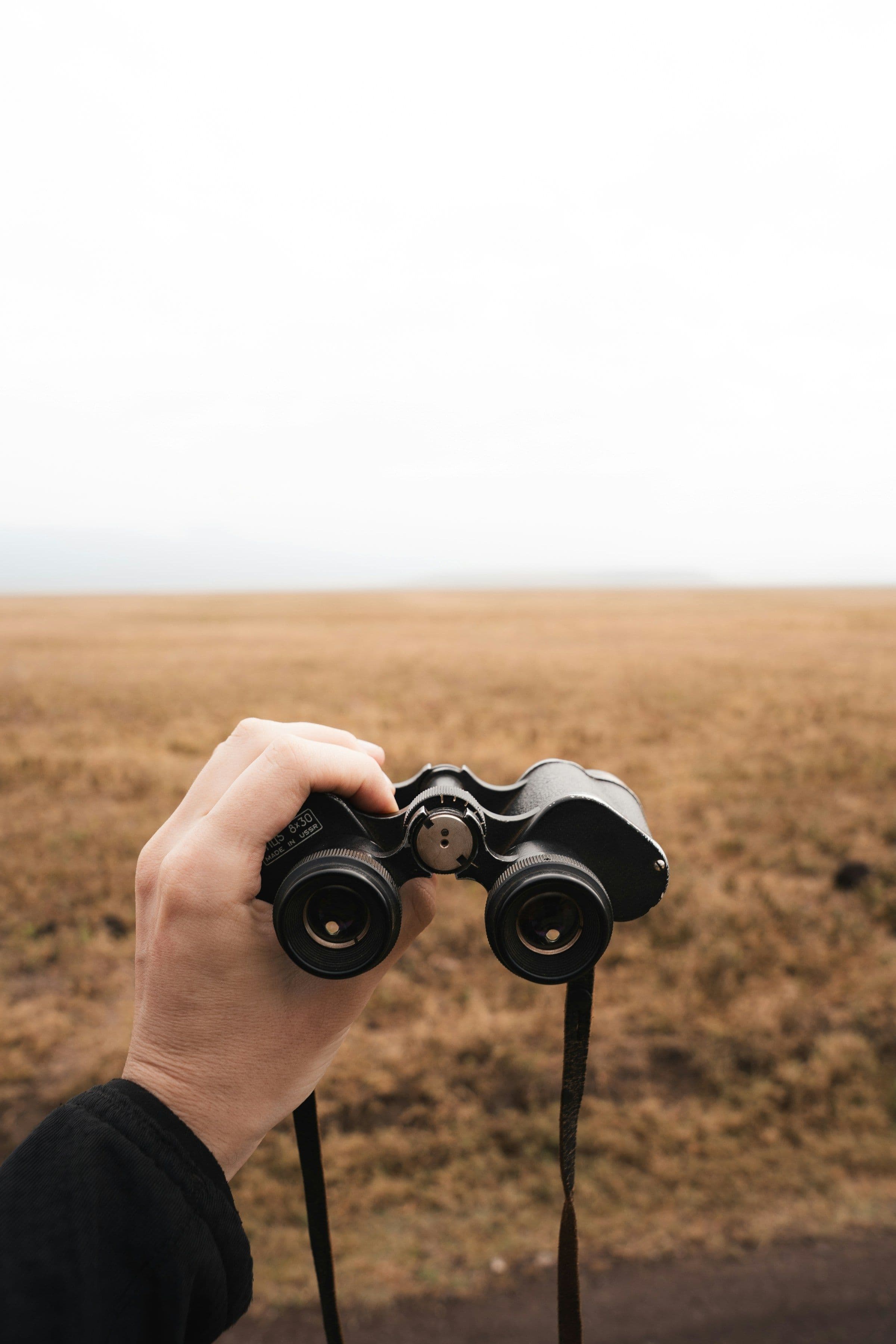 A hand holding a pair of binoculars over golden grassland.